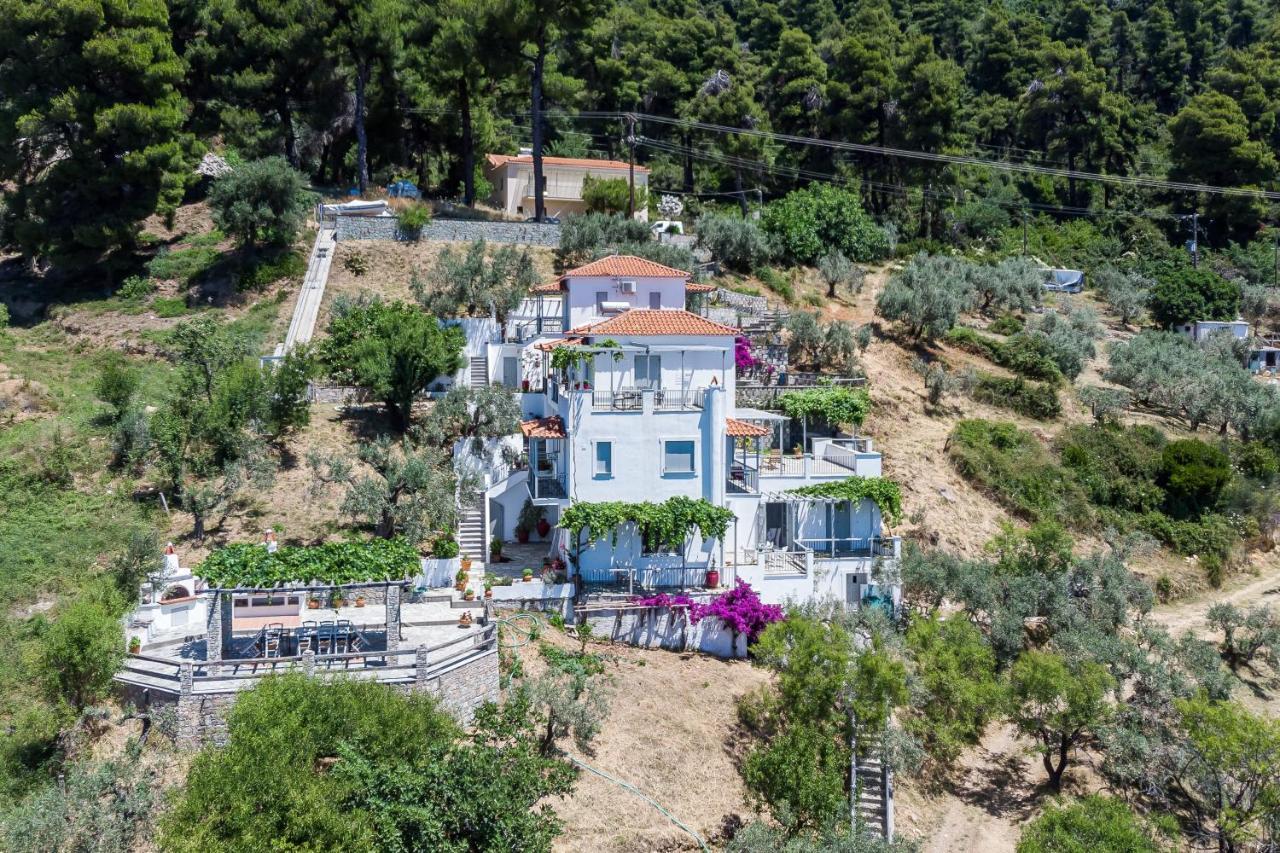 Stamatiou Estate 호텔 네오 클리마 외부 사진